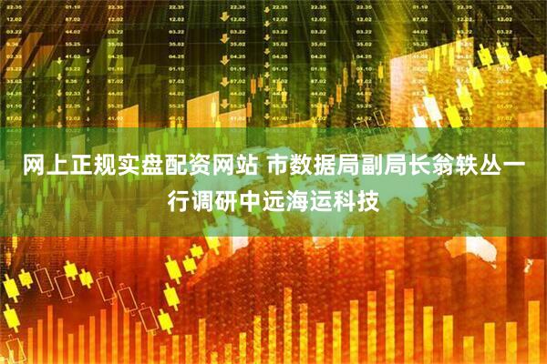 网上正规实盘配资网站 市数据局副局长翁轶丛一行调研中远海运科技